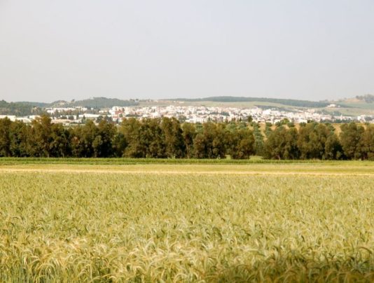 Zimbabwe allocates $100,7bn into agriculture sector Zimbabwe allocates $100,7bn into agriculture sector