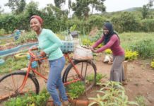 How Mastercard Foundation Scholars are Helping to Grow the Continent’s Productivity