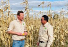 Growers save millions in input costs thanks to comprehensive sustainability solution