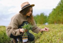 Kwanalu highlights KZN women in business during women’s month