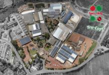 Solar investment at Two-a-Day equivalent to planting 484,380 trees per year.