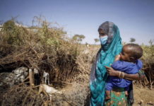 The greater Horn of Africa’s climate-related health crisis worsens
