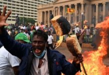 How To Jump-Start The Agro Sector Without Crushing The National Economy, As Sri Lanka Did?