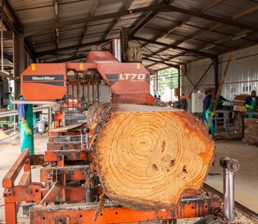 A Wood-Mizer LT70 Remote working at Orange Farm Sawmill large