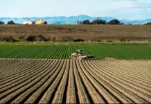 Ghana’s National Farmers’ Day celebration reviewed Ghana’s National Farmers' Day celebration reviewed