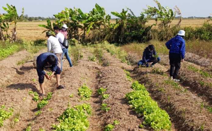 K25 billion agriculture investment scheme launched in Malawi