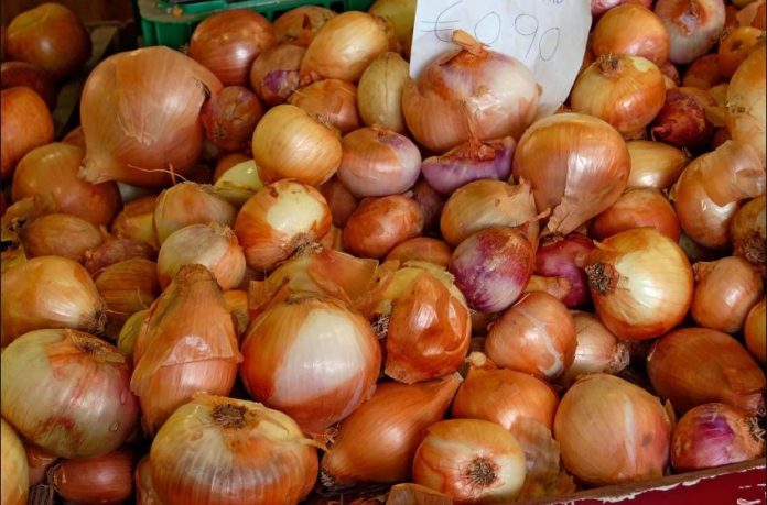 Egypt sends first onion shipment to Pakistan