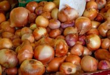 Egypt sends first onion shipment to Pakistan Egypt sends first onion shipment to Pakistan