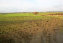 Morocco launches PPA tender for development of irrigated land in Jraifia The Agricultural Development Agency (ADA) in Morocco has launching a public-private partnership (PPP) tender for the development of more than 224 hectares of irrigated land in the council of Jraifia in Western Sahara.