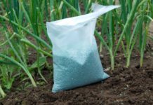 Kenya announces new subsidized fertilizer prices Kenya announces new subsidized fertilizer prices