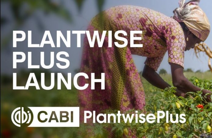 PlantwisePlus launched in Ghana