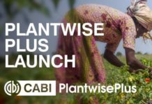 PlantwisePlus launched in Ghana PlantwisePlus launched in Ghana