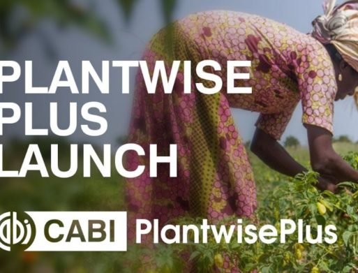 PlantwisePlus launched in Ghana