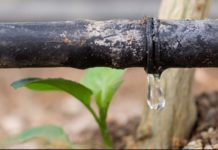 Morocco launches tender for construction of massive irrigation grid Morocco launches tender for construction of massive irrigation grid