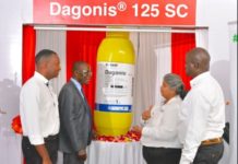 BASF East Africa Company launches new pesticide to control powdery mildew BASF East Africa Company launches new pesticide to control powdery mildew