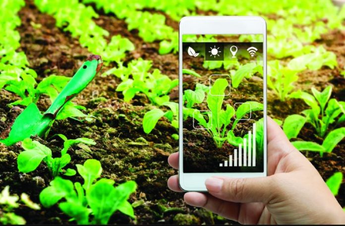 Winrock selected to expand climate-smart agtech in Malawi and Thailand