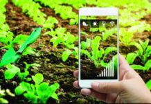 Winrock selected to expand climate-smart agtech in Malawi and Thailand Winrock selected to expand climate-smart agtech in Malawi and Thailand