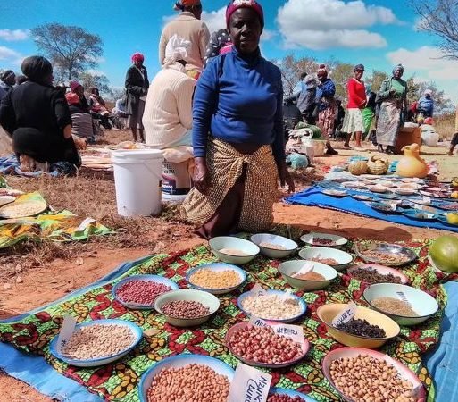 Celebrating diversity at a local seeds fair in Zimbabwe. Photo byNelson Mudzingwa