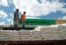 Zambian farmers cry over delayed inputs