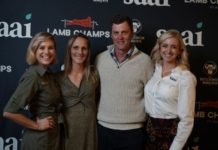 New season of Lamb Champs started