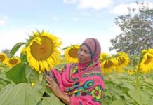 Climate-smart agricultural practices deliver life-changing benefits to Tanzania’ women farmers