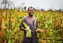 Zambia to generate US$2 billion from agriculture sector by 2026