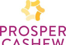 Prosper Cashew Convenes Industry Stakeholders to Transform Cashew Processing in Nigeria