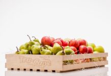 Export challenges mount as Cape Town port struggles with severe disruptions