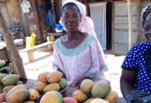 How Does “The Global Agro-Paradox” Creates Poverty, And How To Fix It?