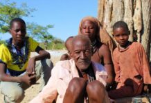 Long-term rural development necessary to end cycle of ‘multicrisis’, UN agency to tell Paris Peace Forum