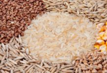 Morocco secures €199M AfDB loan to boost cereal production Morocco secures €199M AfDB loan to boost cereal production