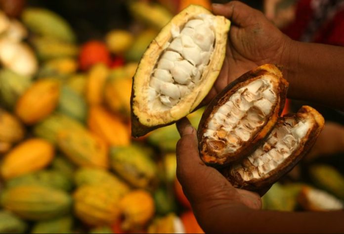 Ghana raises cocoa farmgate price by 21% for 2022/23 season