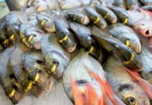 Morocco, Mauritania renew fisheries cooperation agreement Morocco, Mauritania renew fisheries cooperation agreement