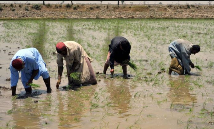 Kenya holds Disaster Risk Reduction symposium in Kakamega