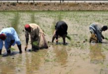 Kenya holds Disaster Risk Reduction symposium in Kakamega Kenya holds Disaster Risk Reduction symposium in Kakamega
