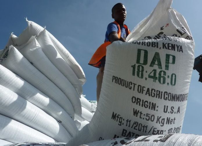 Kirinyaga farmers in Kenya register for subsidized fertiliser