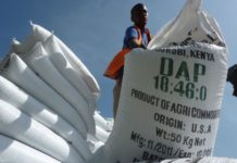 Kirinyaga farmers in Kenya register for subsidized fertiliser Kirinyaga farmers in Kenya register for subsidized fertiliser