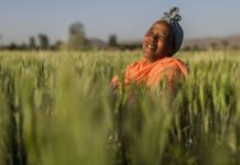 World Food Day: AfDB marks key milestones in interventions to feed Africa World Food Day: AfDB marks key milestones in interventions to feed Africa