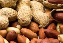 Ghana launches aflatoxin control policy Ghana launches aflatoxin control policy