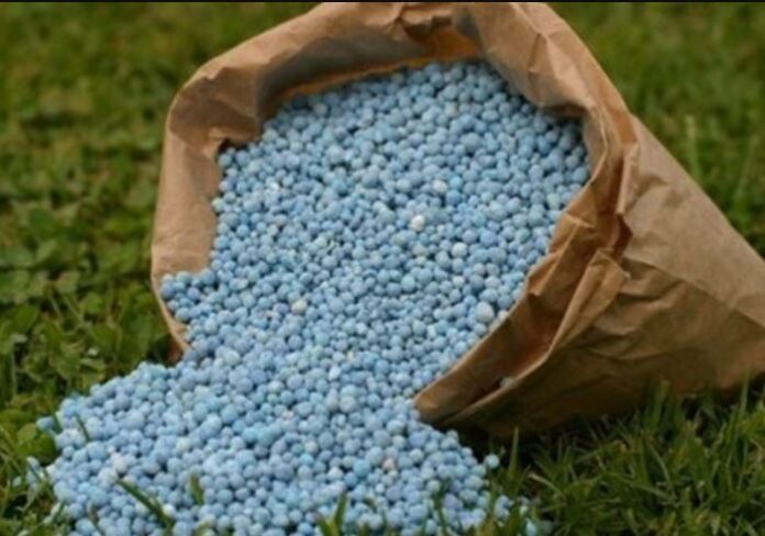 Morocco donates 25,000 tonnes of fertilizer to Senegal