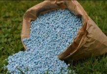 Morocco donates 25,000 tonnes of fertilizer to Senegal Morocco donates 25,000 tonnes of fertilizer to Senegal