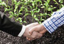 Zimbabwe to maintain contract farming method Zimbabwe to maintain contract farming method