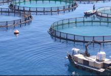 Morocco, Mauritania sign executive fisheries program Morocco, Mauritania sign executive fisheries program