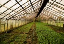 New centre on innovative horticulture centre opening at SA’s Stellenbosch University