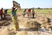 IFAD President Alvaro Lario heads to Finance in Common Summit in Côte d’Ivoire
