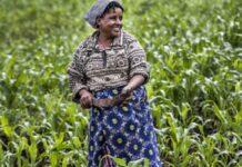 FAO advocates scaling up early warning approaches at regional SADC meeting