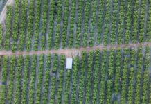 Rising Fuel Prices Impact Businesses and Consumers