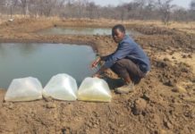 Zimbabwe mulls setting community fish ponds to grow value chain