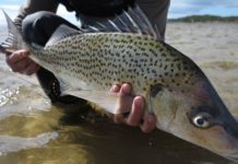 Water recycling to protect Western Cape farmers from extreme weather conditions