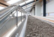 Successful insect farming requires perfect conditions for growth